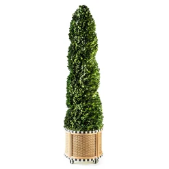 MacKenzie-Childs Basket Weave Spiral Large Boxwood Topiary| Spring|Greenery & Florals