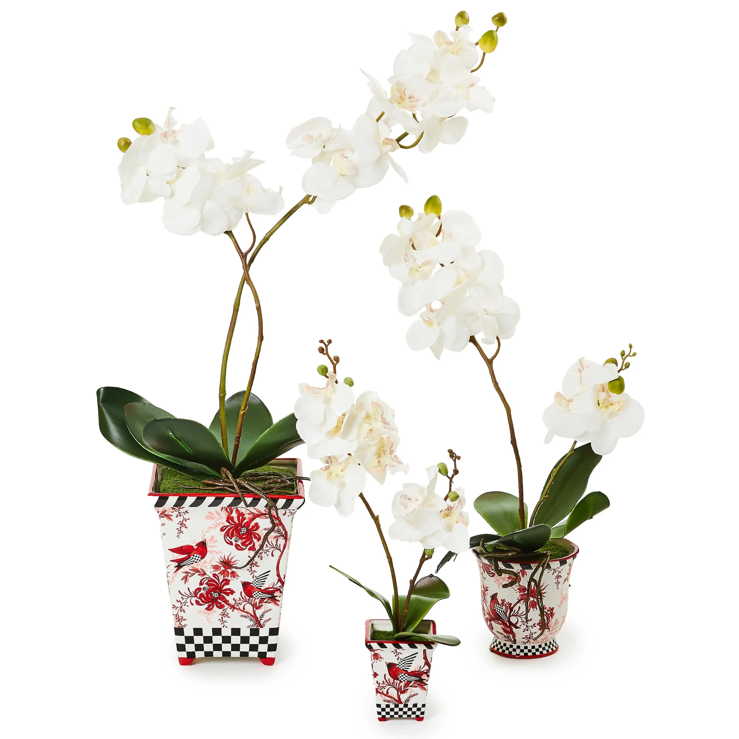 MacKenzie-Childs Cardinal Toile Large Orchid| Holiday|Greenery & Florals