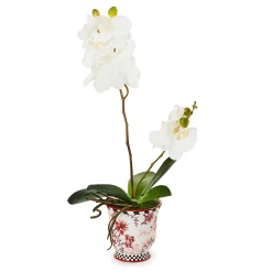 MacKenzie-Childs Cardinal Toile Medium Orchid| Holiday|Greenery & Florals