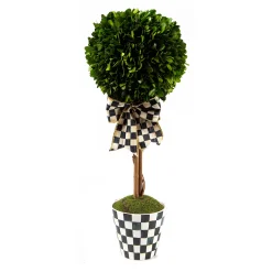 MacKenzie-Childs Courtly Boxwood Topiary Small Drop In| Spring|Greenery & Florals