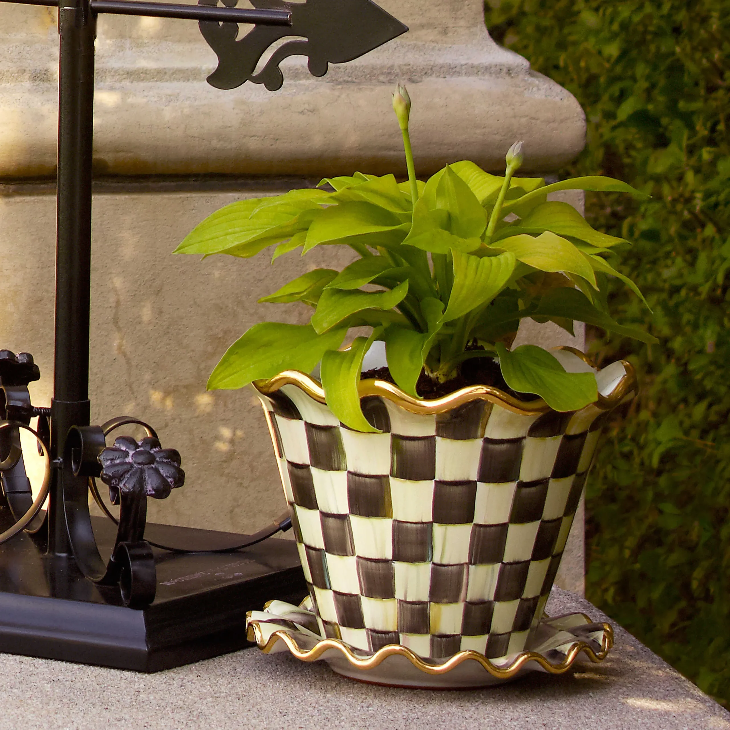 MacKenzie-Childs Courtly Check 8 Ceramic Garden Pot| Spring|The Fall Shop