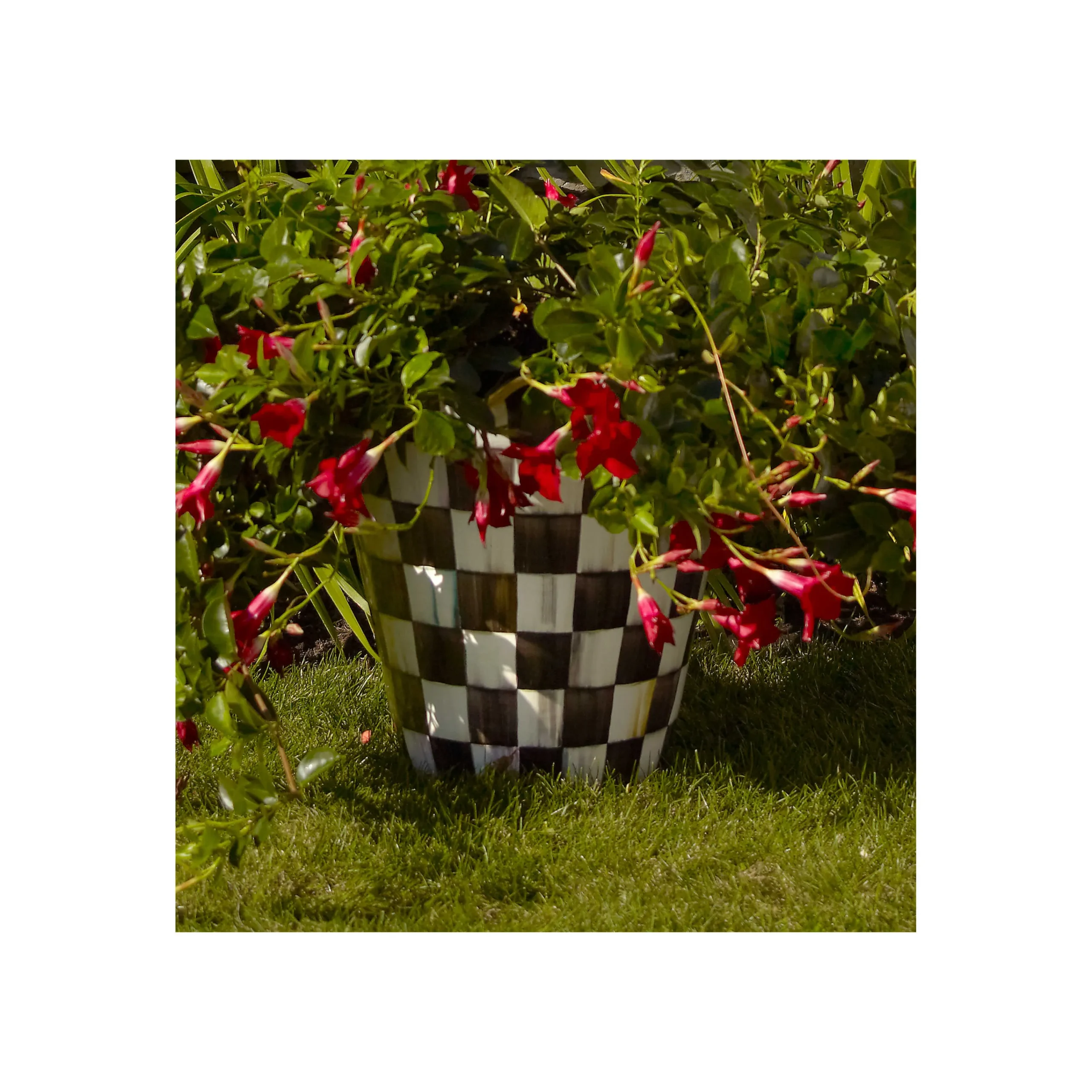 MacKenzie-Childs Courtly Check Ceramic Jumbo Garden Pot| Outdoor