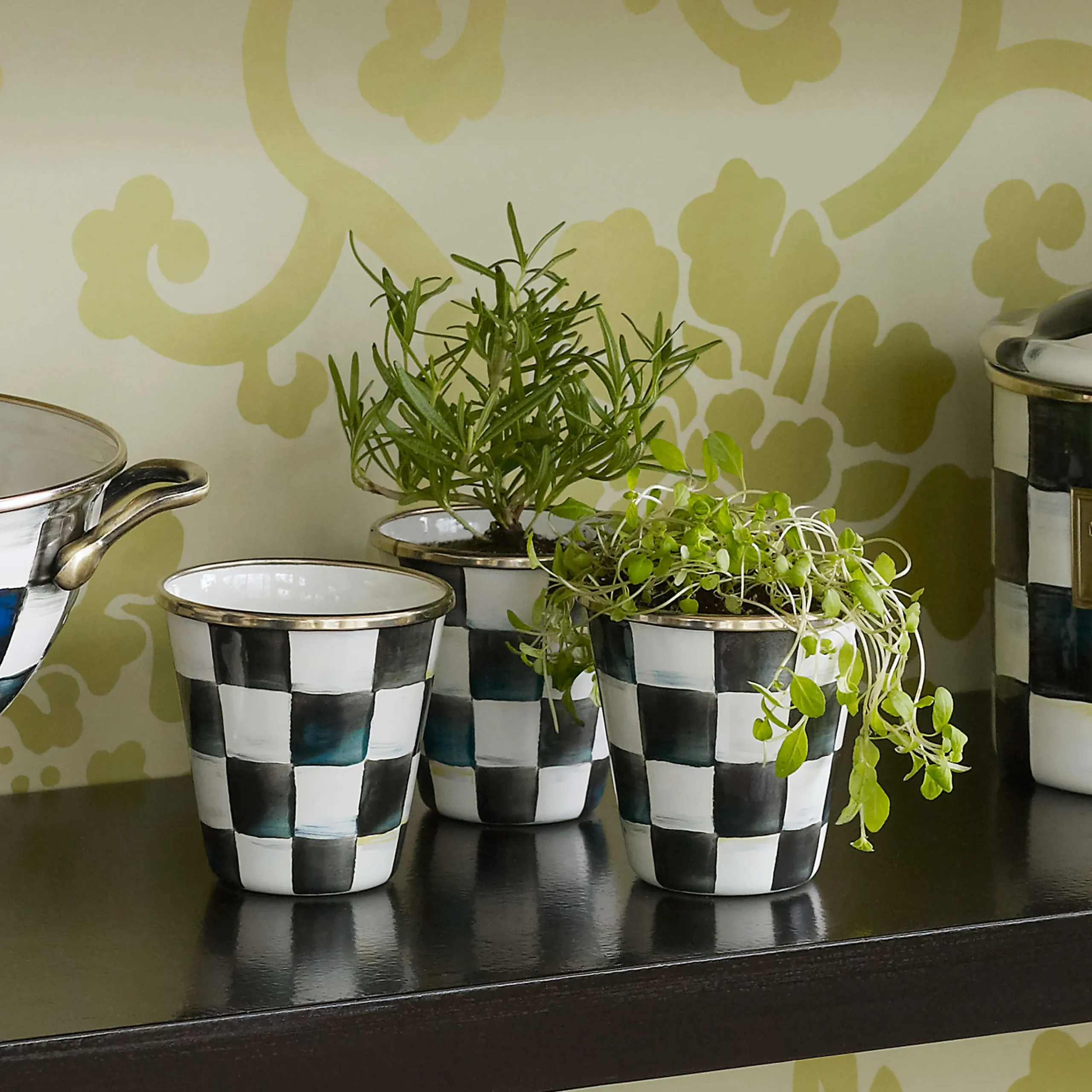 MacKenzie-Childs Courtly Check Herb Pots, Set of 3| Spring|The Fall Shop