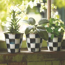 MacKenzie-Childs Courtly Check Herb Pots, Set of 3| Spring|The Fall Shop