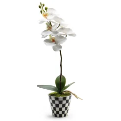 MacKenzie-Childs Courtly Check Orchid Drop In| Greenery & Florals