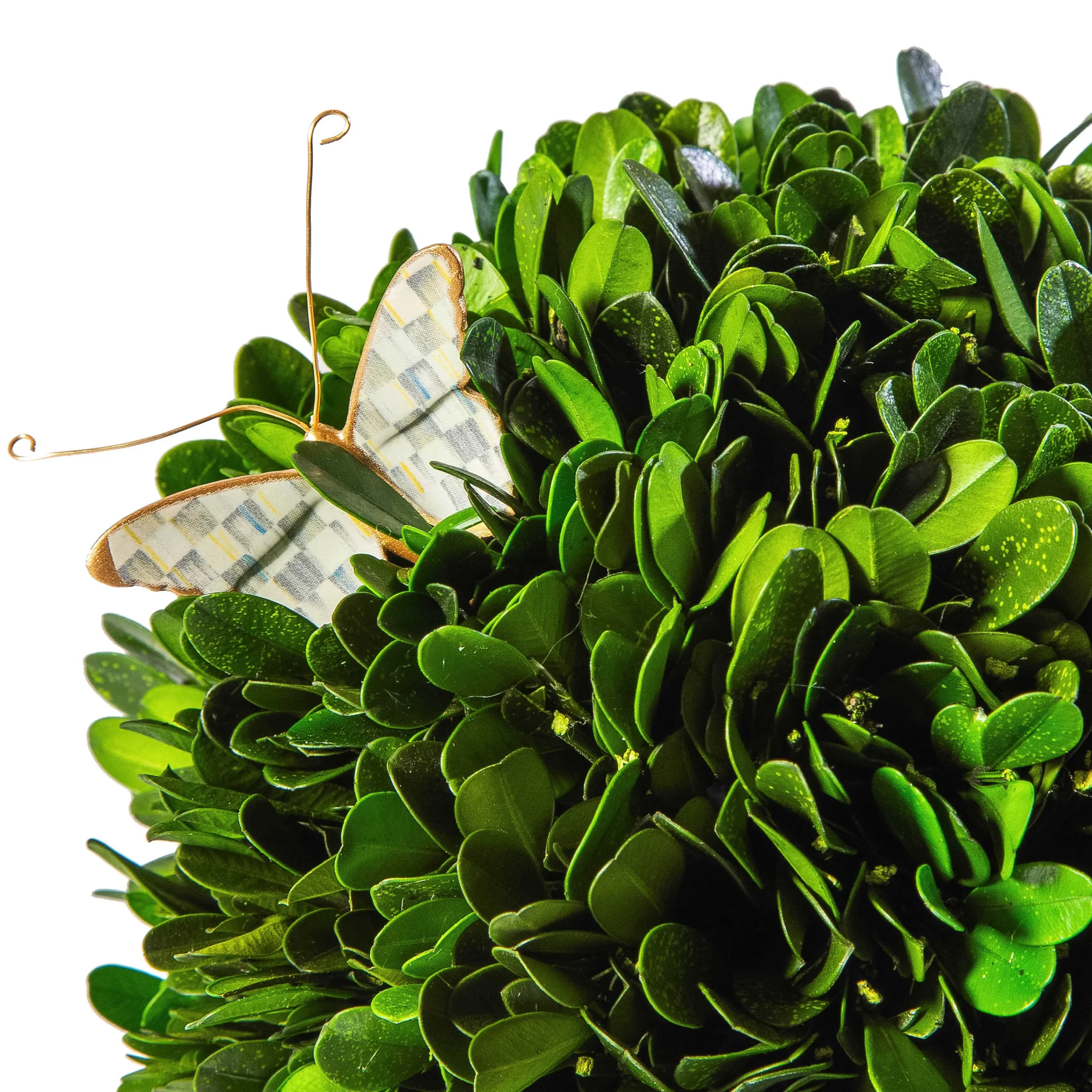 MacKenzie-Childs Sterling Check Small Boxwood Centerpiece| Spring|Greenery & Florals